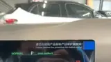 BYD Dolphin Mini - Miniatura 10