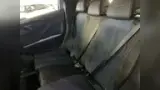 BYD Dolphin Mini - Miniatura 19