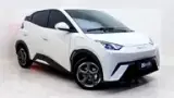 BYD Dolphin Mini - Miniatura 3