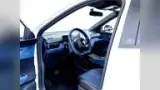 BYD Dolphin Mini - Miniatura 4