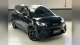 BYD Dolphin Mini - Miniatura 3