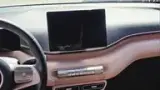 BYD Dolphin Mini - Miniatura 9