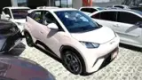 BYD Dolphin Mini - Miniatura 12