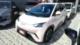 BYD Dolphin Mini - Miniatura 15