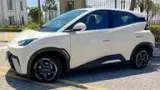 BYD Dolphin Mini - Miniatura 3