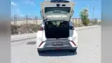 BYD Dolphin Mini - Miniatura 6