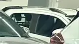 BYD Dolphin Mini - Miniatura 9