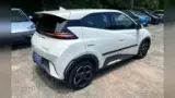 BYD Dolphin Mini - Miniatura 11