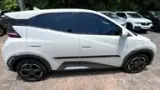 BYD Dolphin Mini - Miniatura 12
