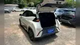 BYD Dolphin Mini - Miniatura 15