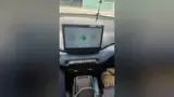 BYD Dolphin - Miniatura 5