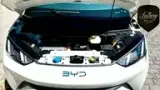 BYD Dolphin Mini - Miniatura 5