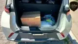 BYD Dolphin Mini - Miniatura 7