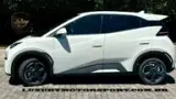 BYD Dolphin Mini - Miniatura 8