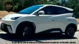 BYD Dolphin Mini - Miniatura 10