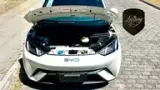 BYD Dolphin Mini - Miniatura 16