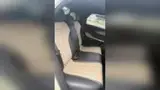 BYD Dolphin - Miniatura 9