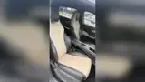 BYD Dolphin - Miniatura 10