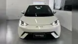 BYD Dolphin Mini - Miniatura 1