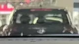 BYD Dolphin Mini - Miniatura 8
