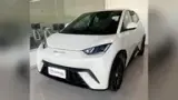 BYD Dolphin Mini - Miniatura 1