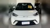 BYD Dolphin Mini - Miniatura 3