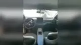 BYD Dolphin Mini - Miniatura 5