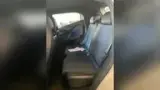 BYD Dolphin Mini - Miniatura 8