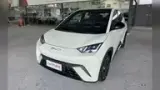 BYD Dolphin Mini - Miniatura 1