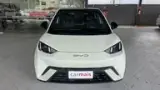 BYD Dolphin Mini - Miniatura 2