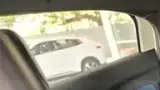 BYD Dolphin Mini - Miniatura 7