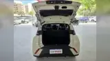 BYD Dolphin Mini - Miniatura 13
