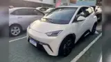 BYD Dolphin Mini - Miniatura 1