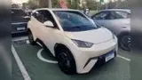 BYD Dolphin Mini - Miniatura 2