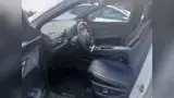 BYD Dolphin Mini - Miniatura 8