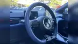 BYD Dolphin Mini - Miniatura 15