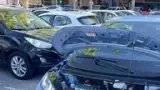 BYD Dolphin Mini - Miniatura 16