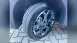 BYD Dolphin Mini - Miniatura 18