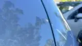BYD Dolphin Mini - Miniatura 19