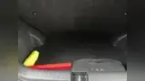BYD Dolphin Mini - Miniatura 2