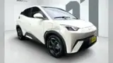 BYD Dolphin Mini - Miniatura 10