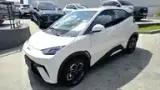 BYD Dolphin Mini - Miniatura 7