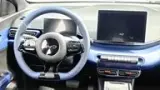 BYD Dolphin Mini - Miniatura 18