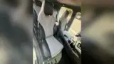 BYD Dolphin - Miniatura 9
