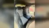 BYD Dolphin - Miniatura 13