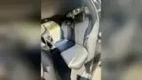 BYD Dolphin - Miniatura 14