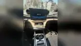 BYD Dolphin - Miniatura 18