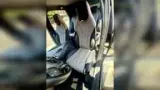 BYD Dolphin - Miniatura 19