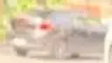 BYD Dolphin Mini - Miniatura 9
