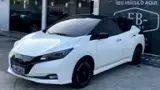 Nissan Leaf - Miniatura 1